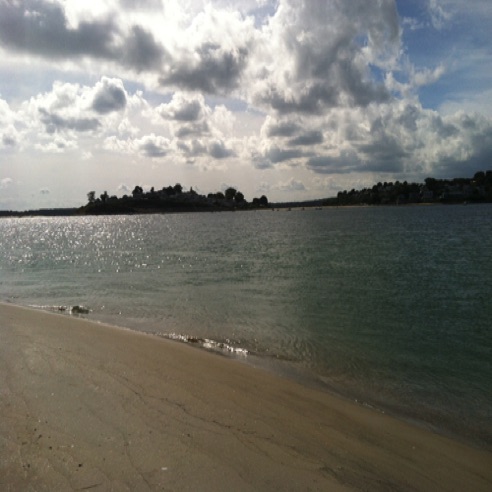 IMG_0376 IMG_0376