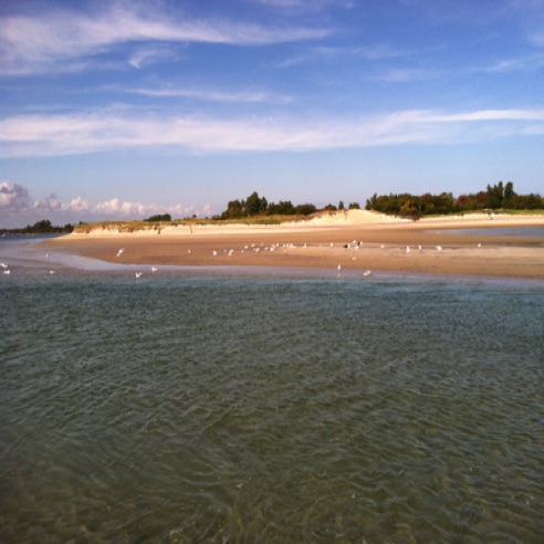 IMG_0381 IMG_0381