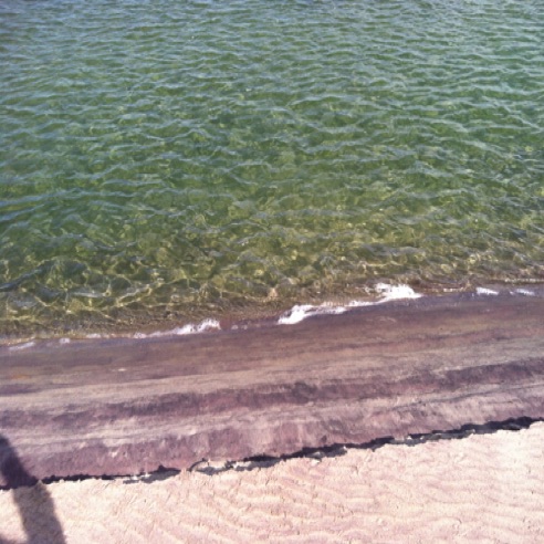 IMG_0383 IMG_0383