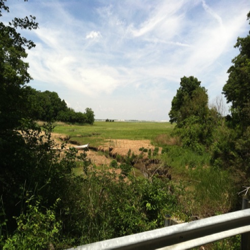 IMG_0468 IMG_0468
