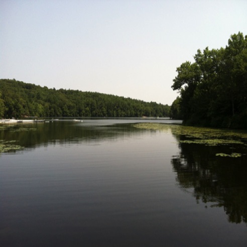 IMG_0533 IMG_0533