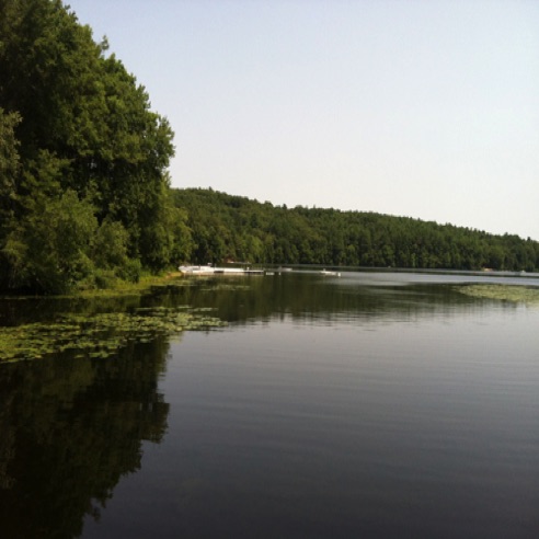 IMG_0534 IMG_0534