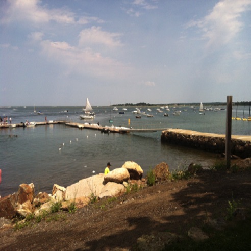 IMG_0565 IMG_0565