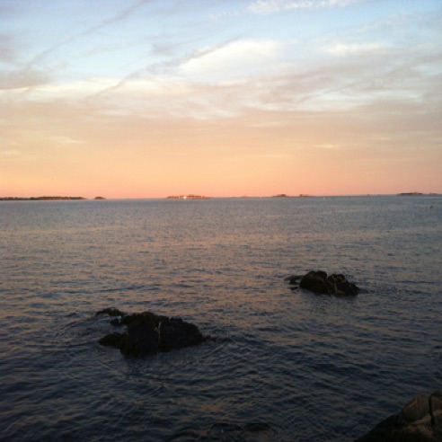 IMG_0596 IMG_0596