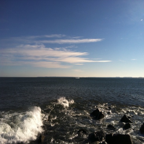 IMG_0608 IMG_0608