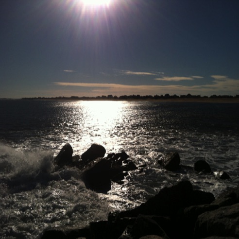 IMG_0614 IMG_0614