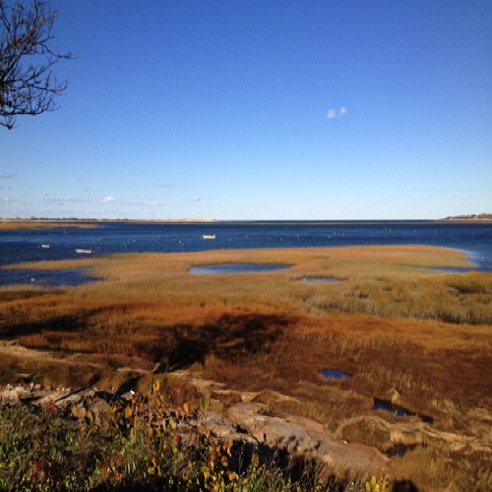 IMG_0827 IMG_0827