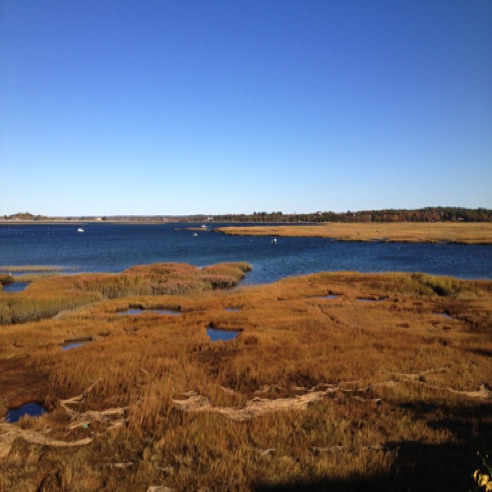 IMG_0828 IMG_0828